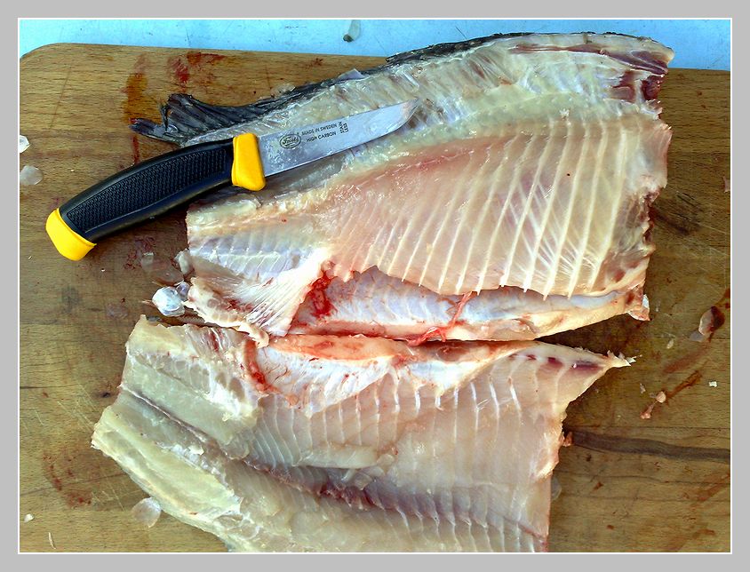 foto 10B.jpg(118 kb)